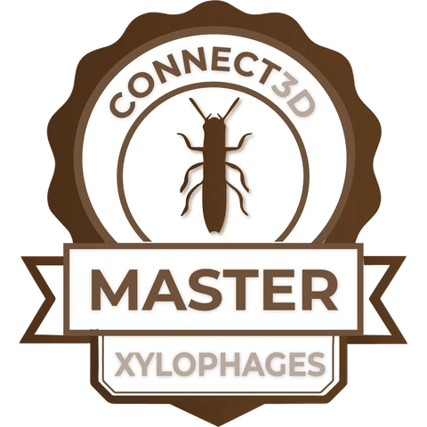MASTER XYLOPHAGES