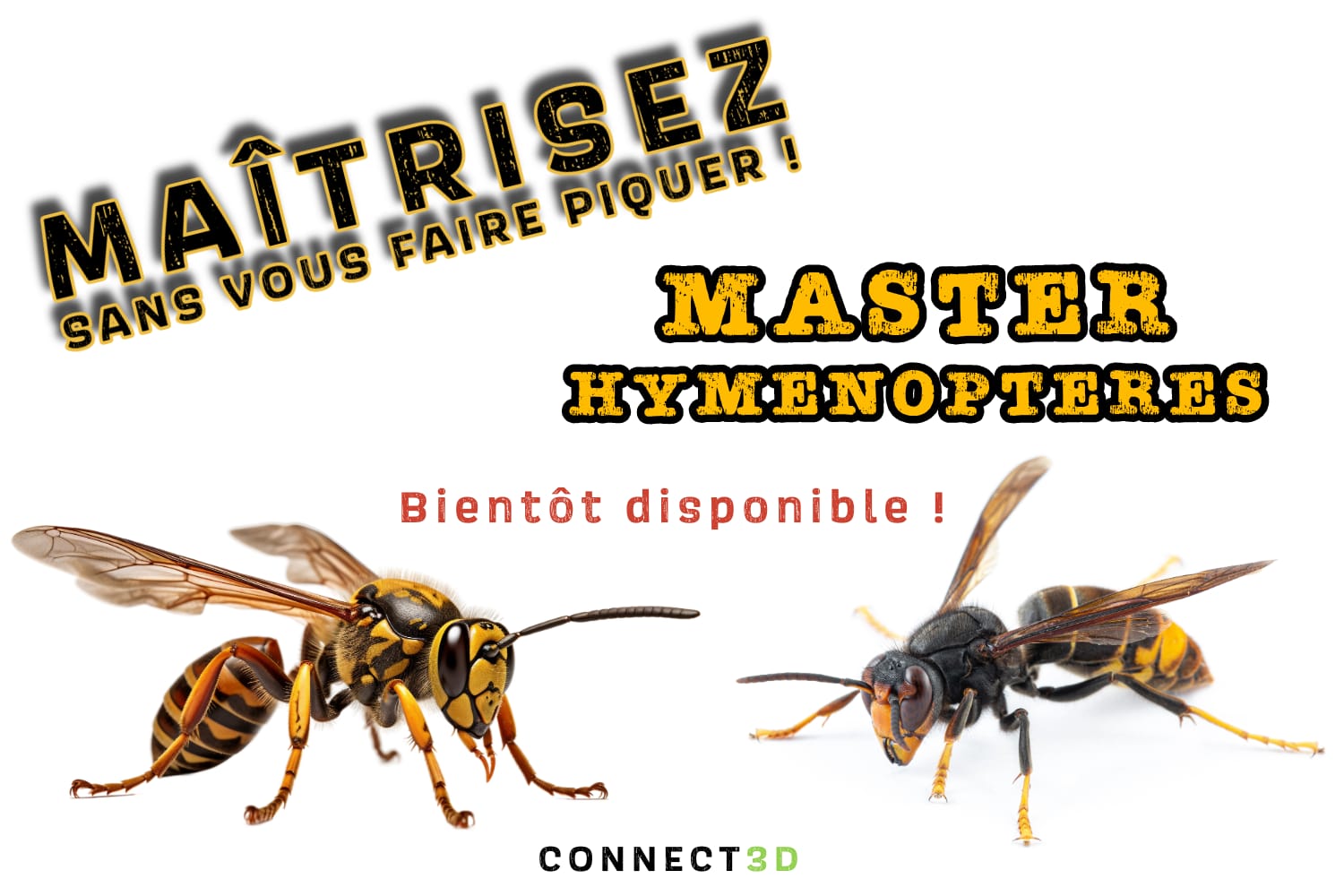 WhatsApp Image 2025-11-05 at 10.19.09 (1)