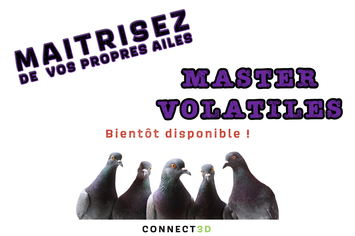 WhatsApp Image 2025-11-05 at 10.19.09 (2)