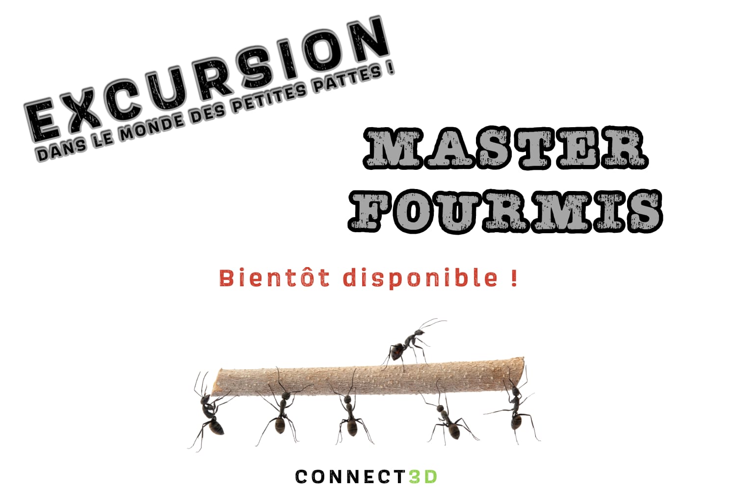 WhatsApp Image 2025-11-05 at 10.19.09