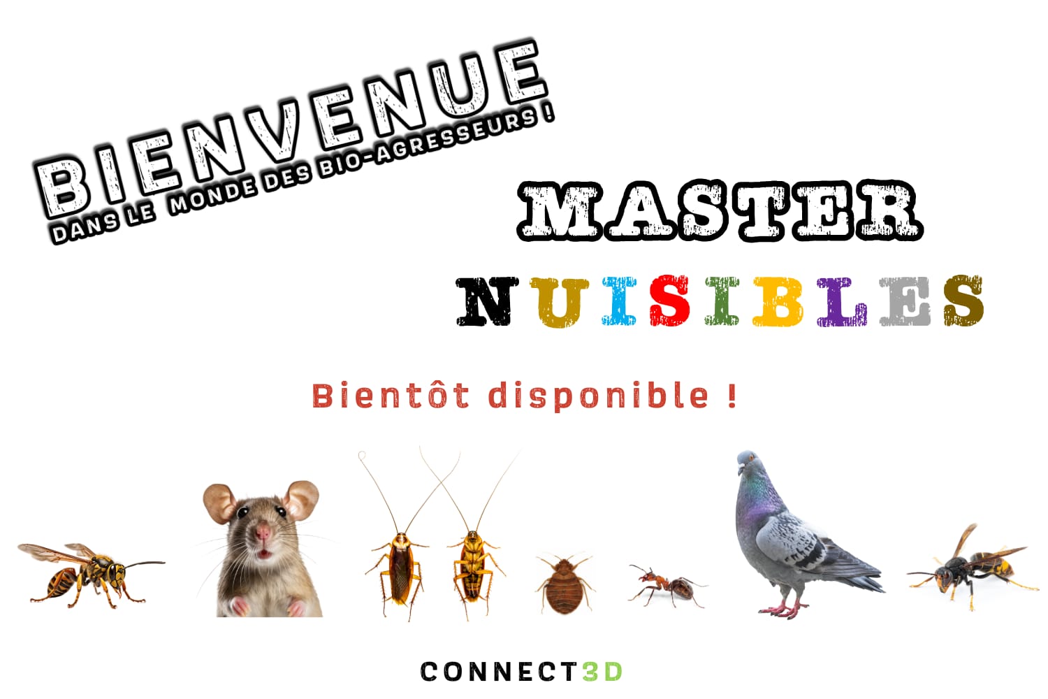 WhatsApp Image 2025-11-05 at 10.19.10 (2)