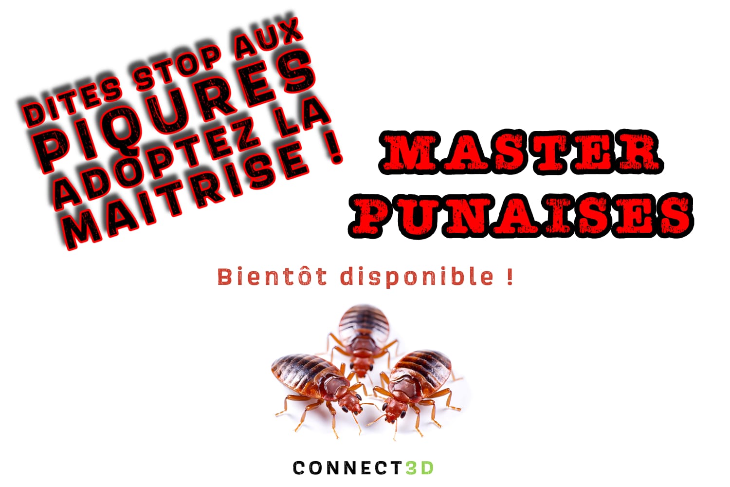 WhatsApp Image 2025-11-05 at 10.19.10 (3)