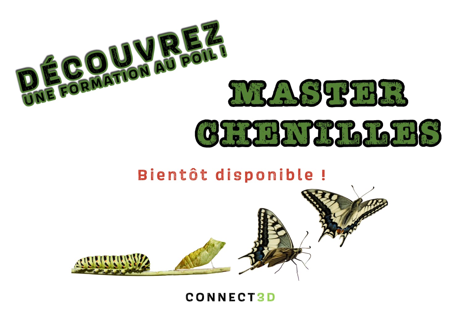 WhatsApp Image 2025-11-05 at 10.19.10 (4)