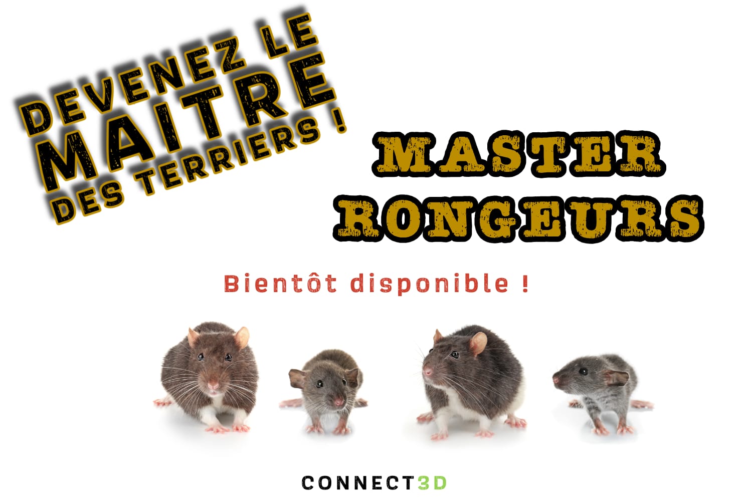 WhatsApp Image 2025-11-05 at 10.19.10