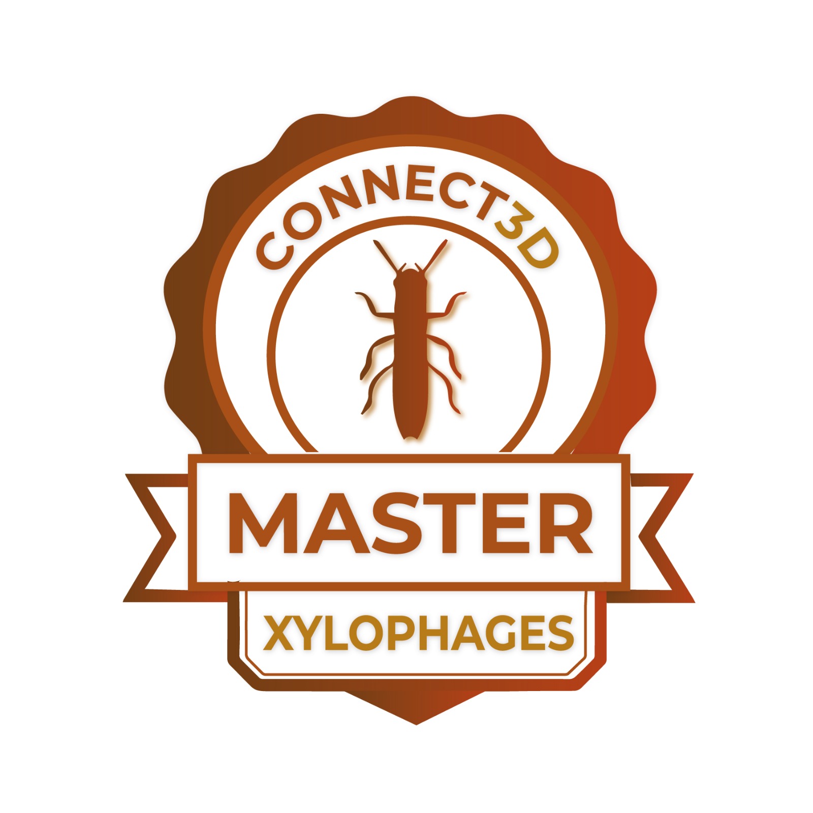 WhatsApp Image 2025-11-19 at 11.15.36 (1)