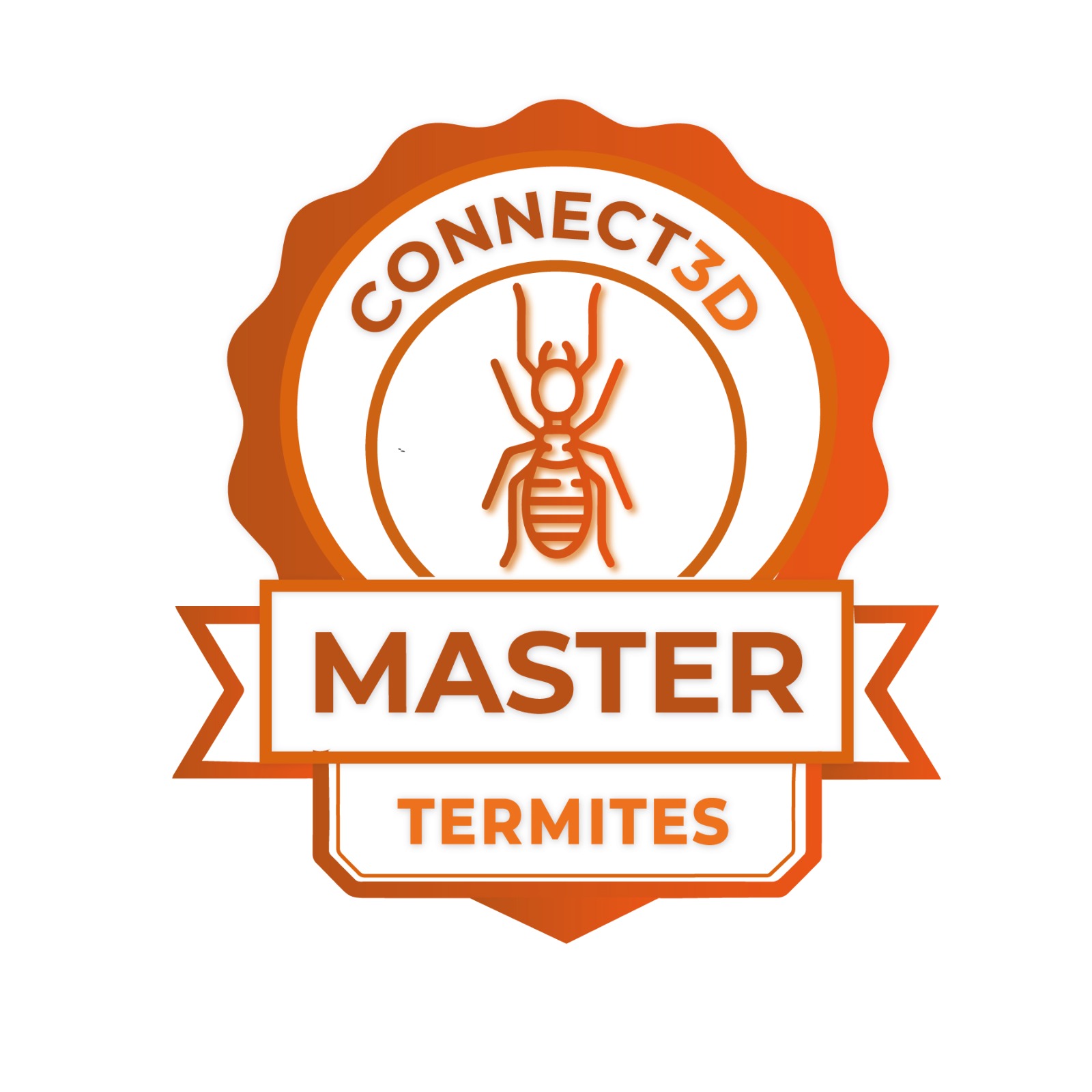 WhatsApp Image 2025-11-19 at 11.15.36 (3)