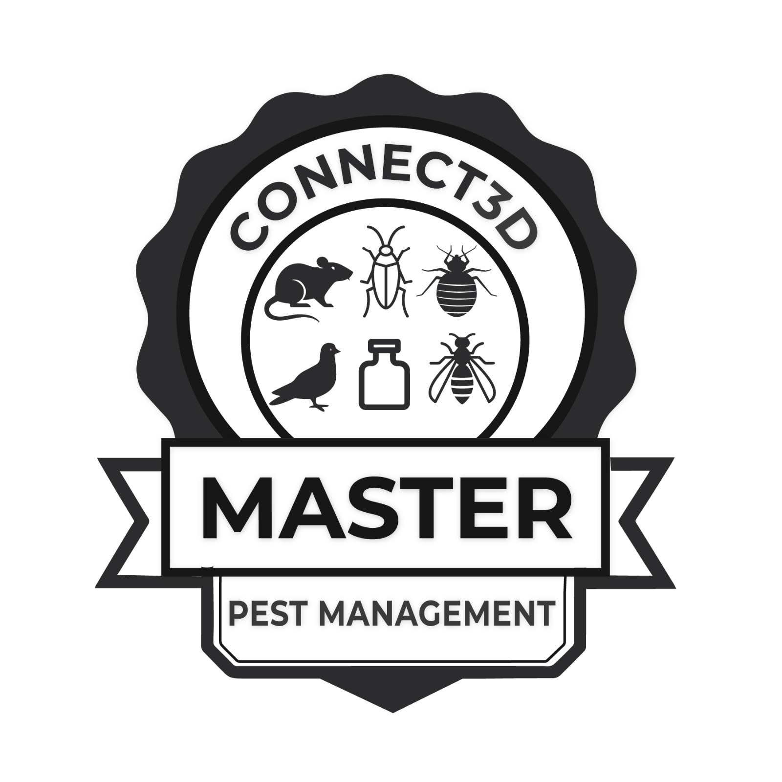 WhatsApp Image 2025-11-19 at 11.15.36