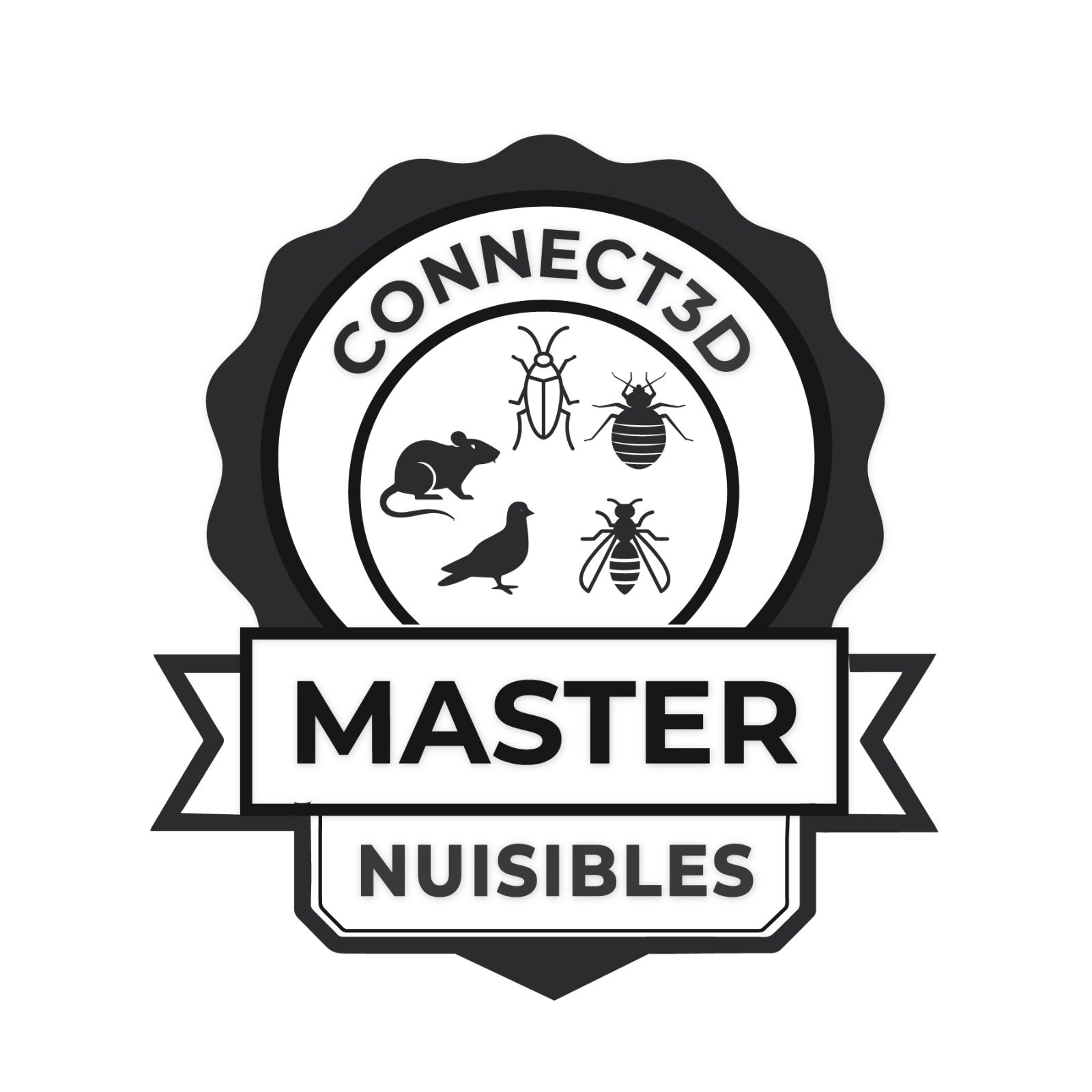 WhatsApp Image 2025-11-19 at 11.15.36 (7)